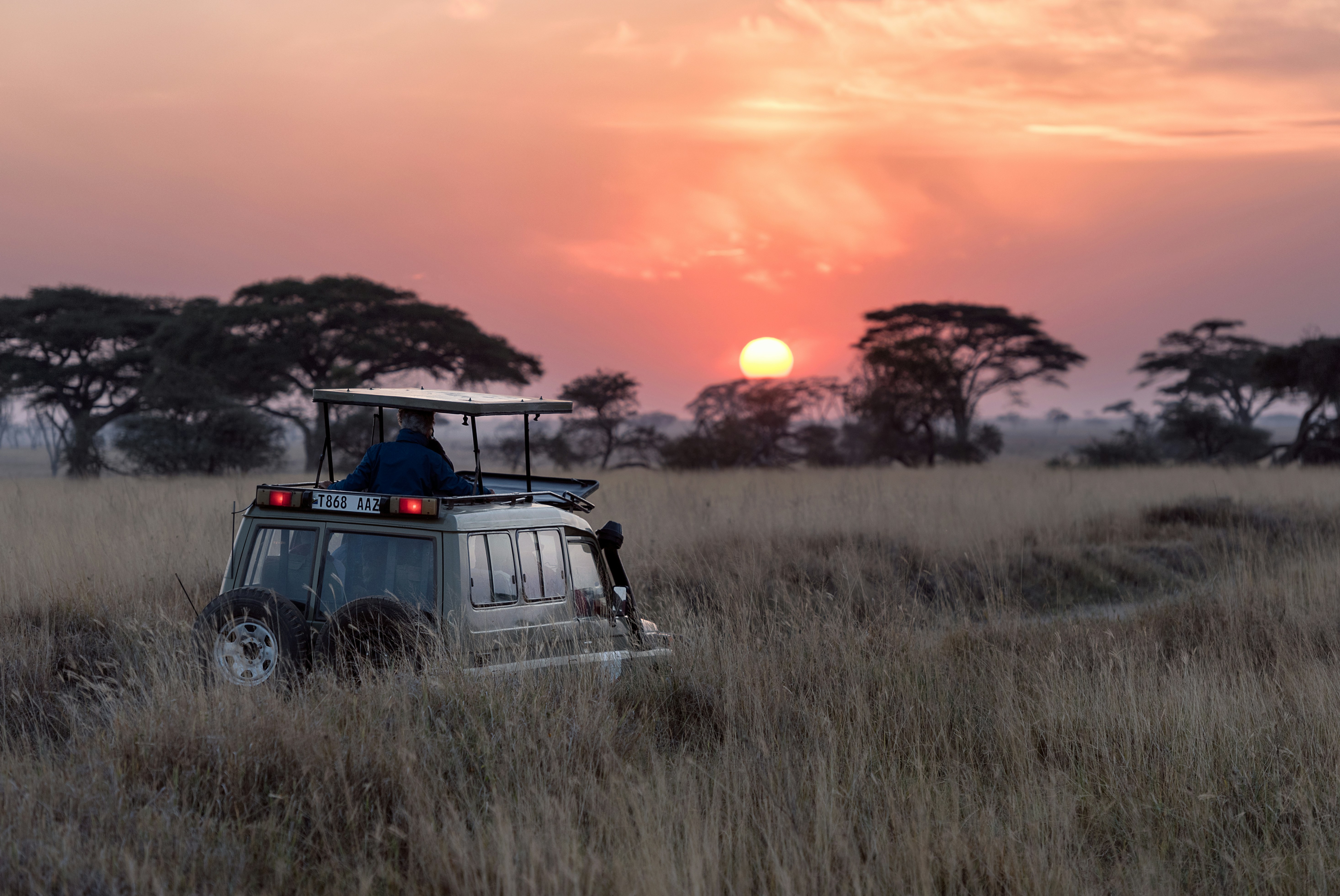 Off-Roading & Safaris