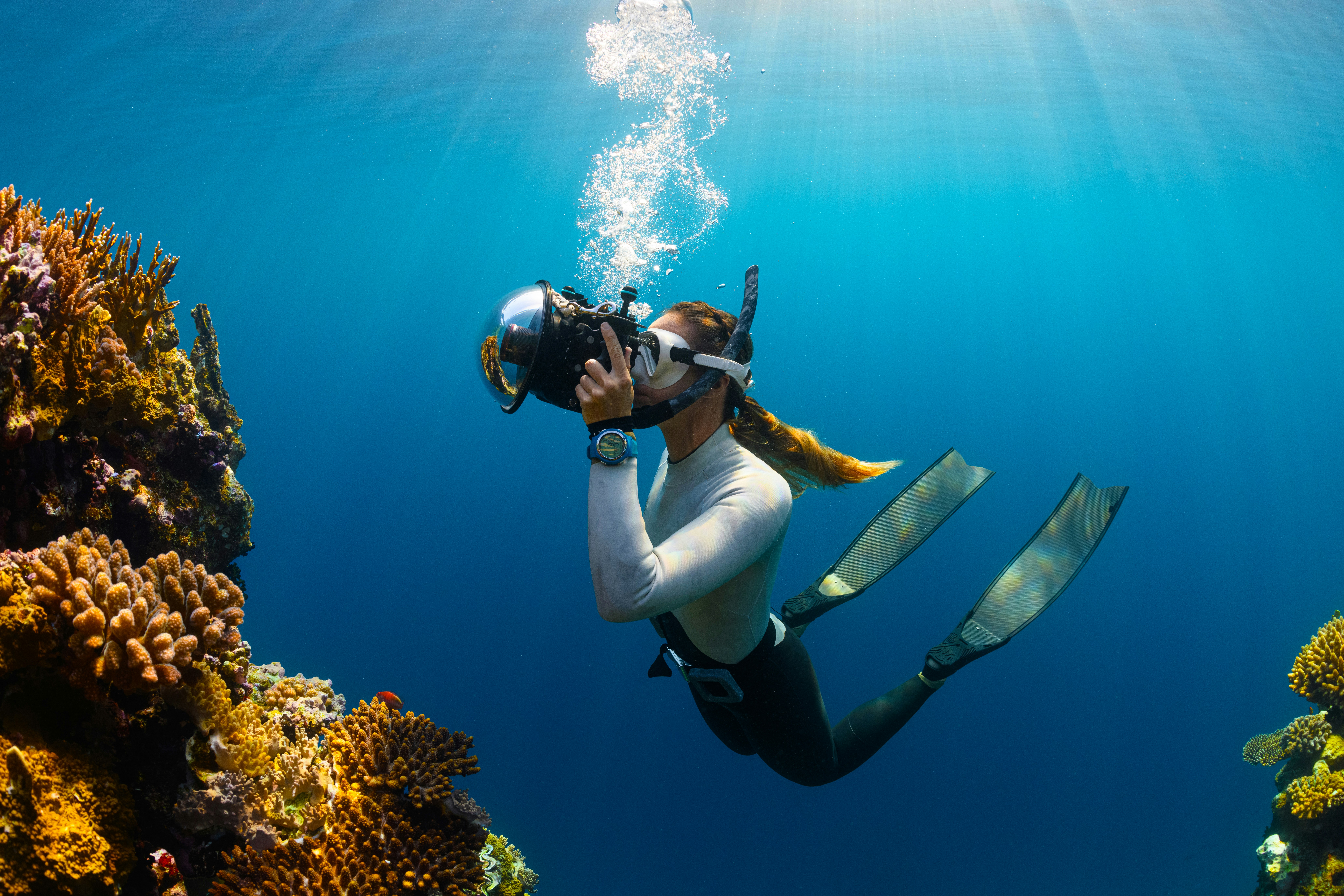 Scuba Diving & Snorkeling
